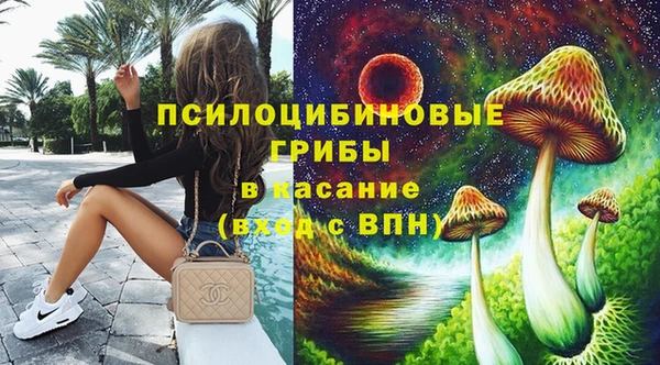прущие грибы Алексеевка