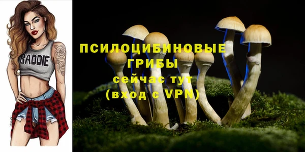 первитин Алзамай